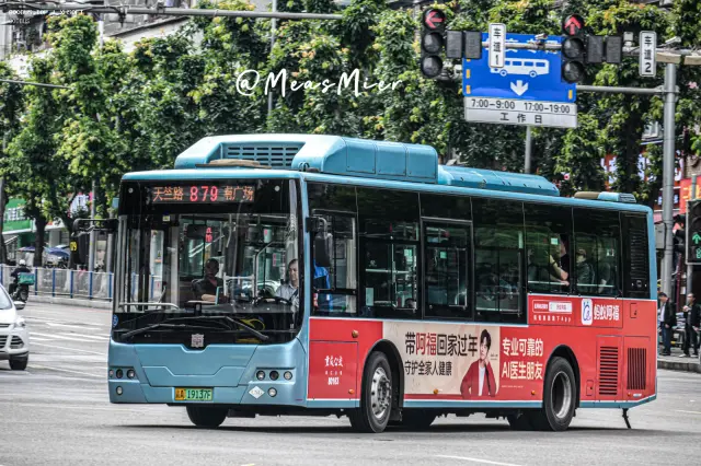 800BUS