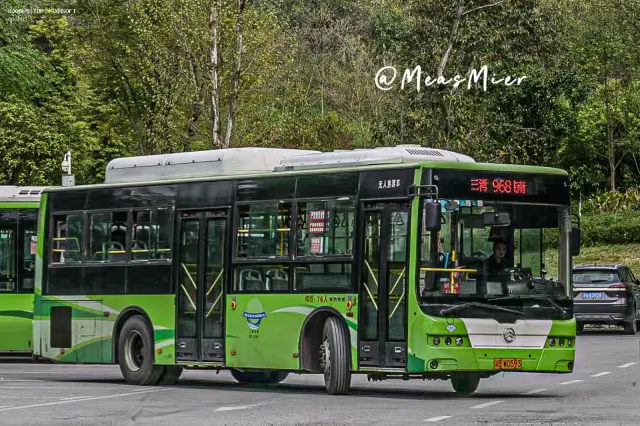 800BUS