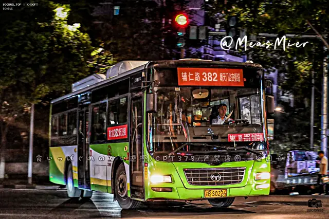 800BUS