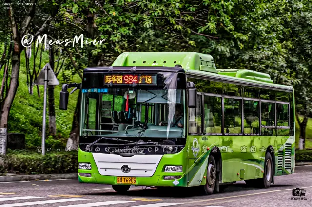 800BUS