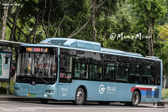 800BUS