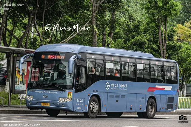 800BUS