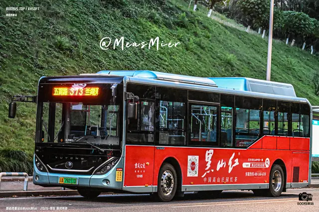 800BUS