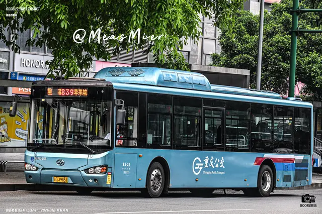 800BUS