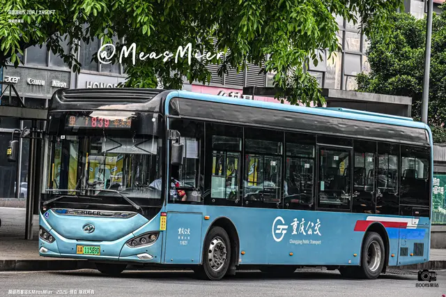 800BUS
