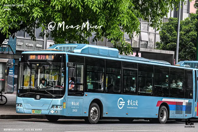 800BUS