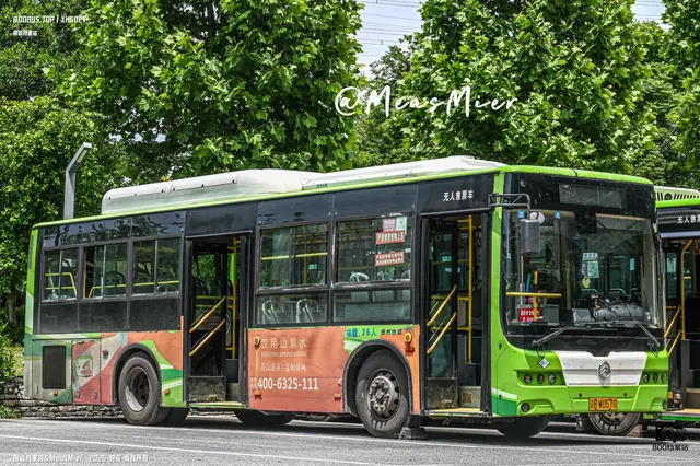 800BUS