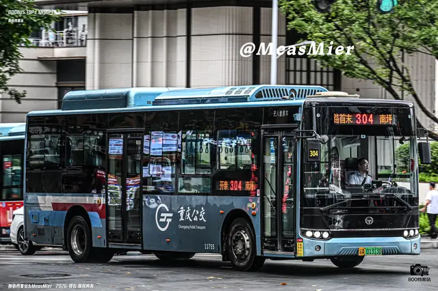 渝A 01313D