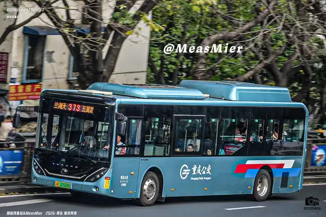 渝A 10509D
