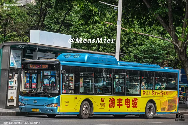 渝D 36721