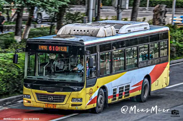渝B T2389
