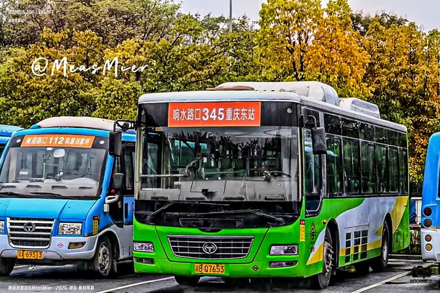 渝B Q7653