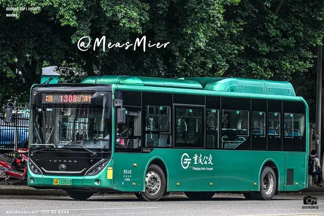 渝A 10392D
