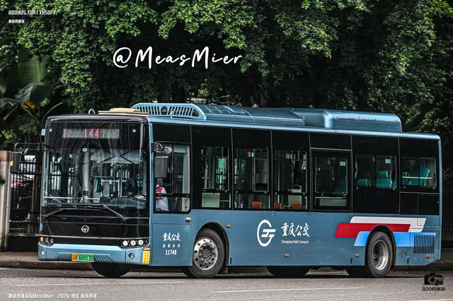 渝A 66913D