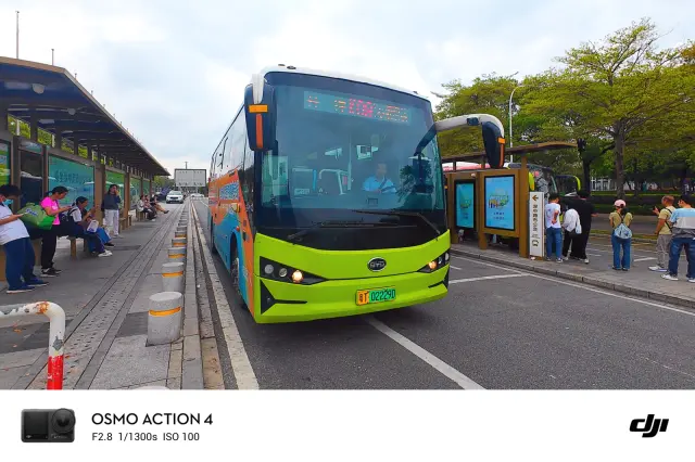 800BUS