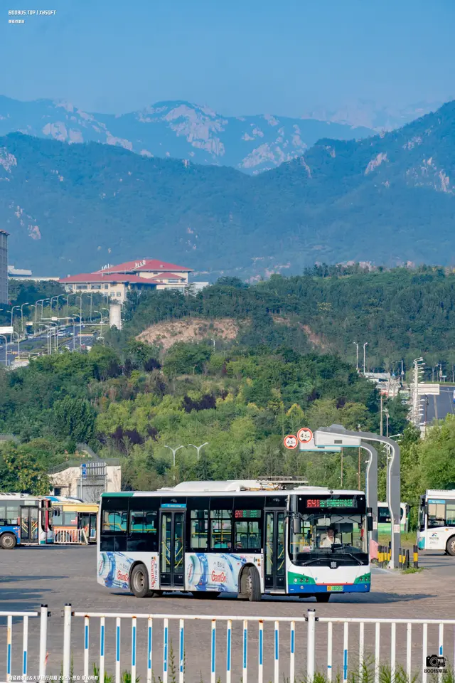 800BUS