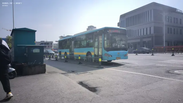 800BUS