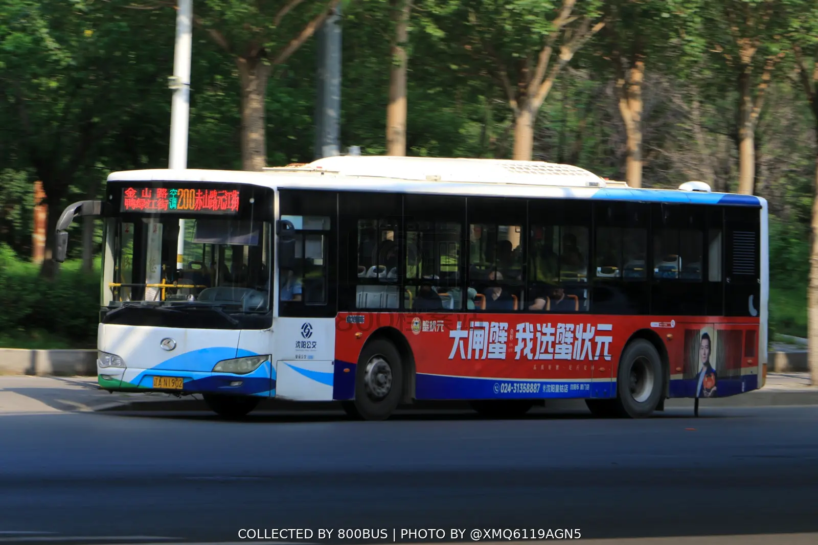 Bus Archive