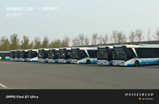 800BUS