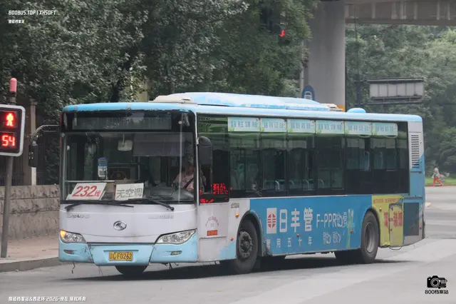 800BUS