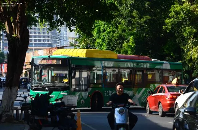 800BUS