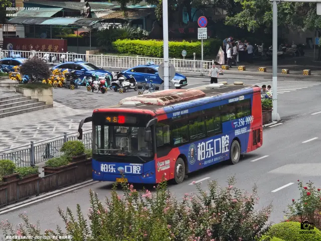 800BUS