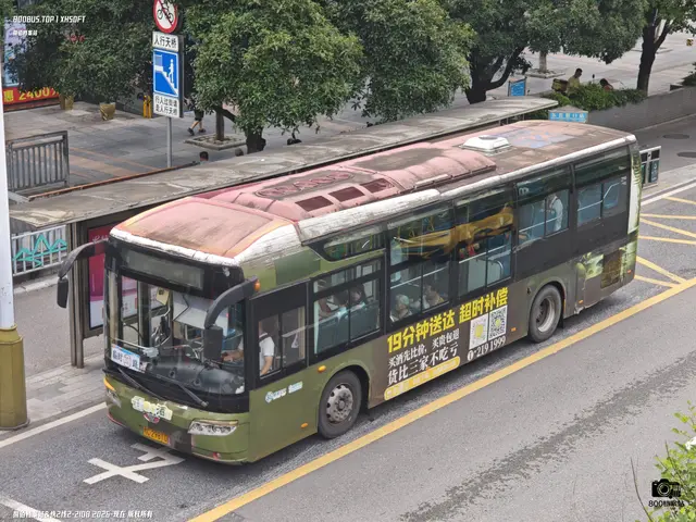 800BUS