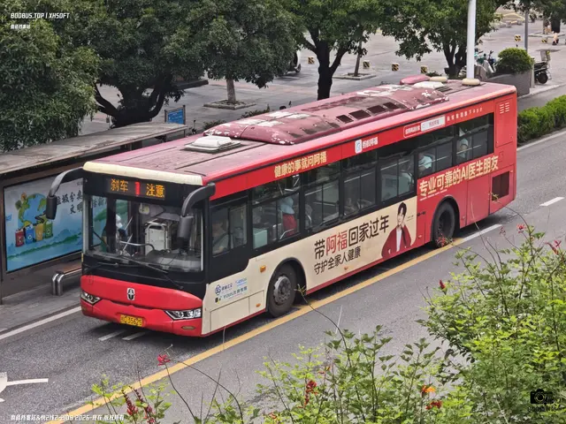 800BUS