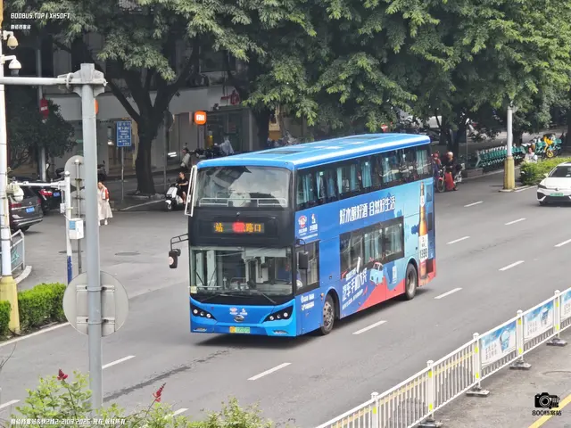800BUS