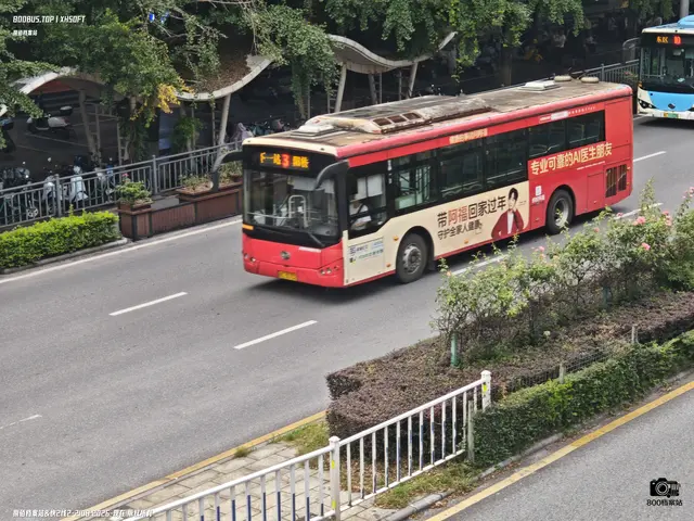 800BUS