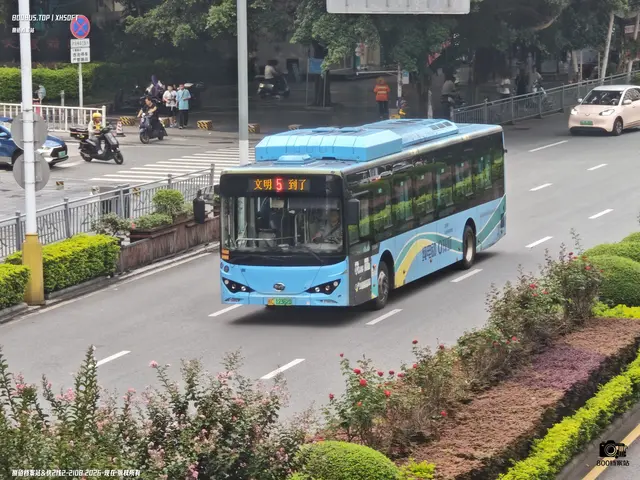 800BUS