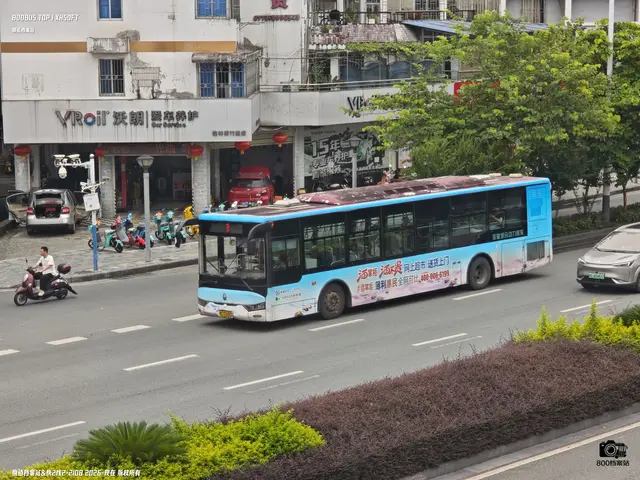 800BUS