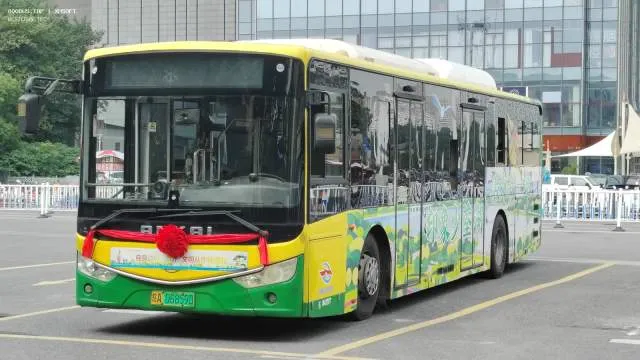 皖AD6859D