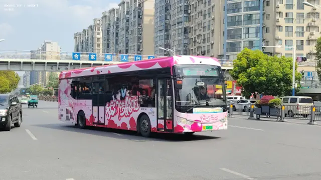 皖A 03692D