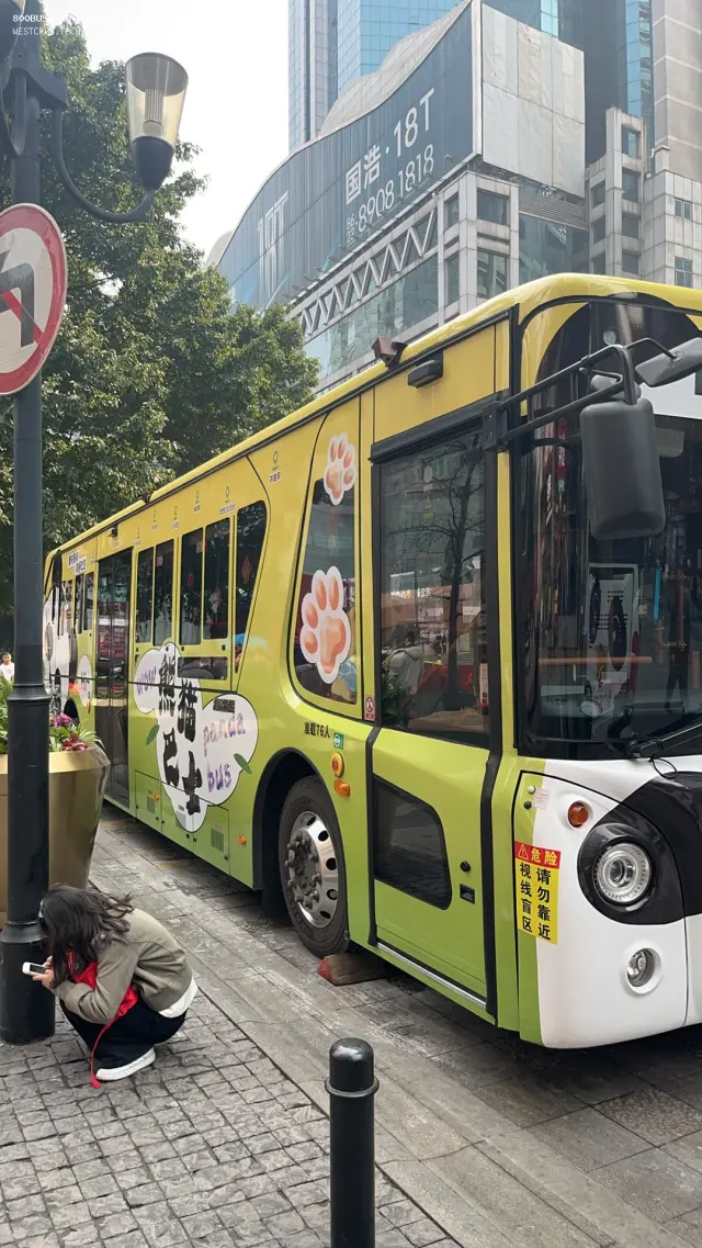 800BUS