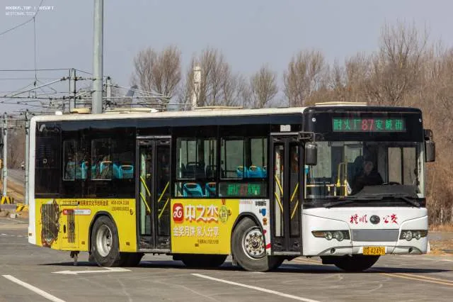 辽D·42496