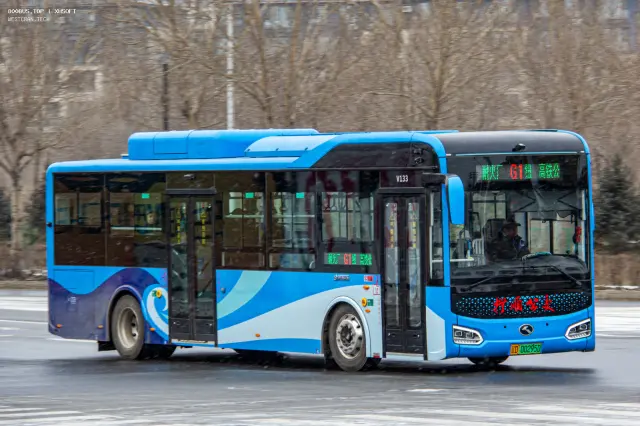 辽D·00295D