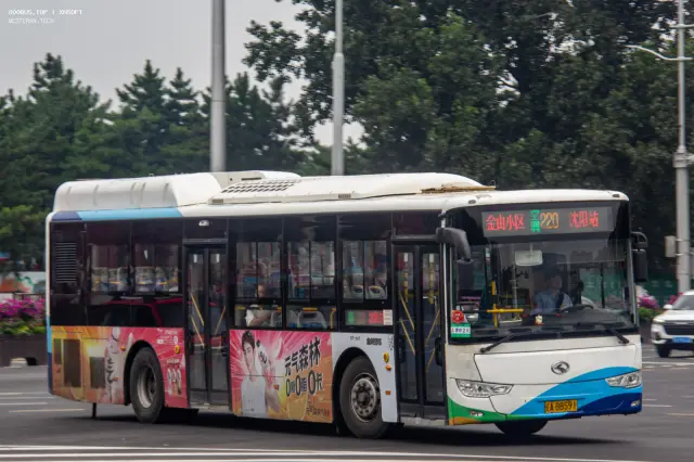 辽A·BB591