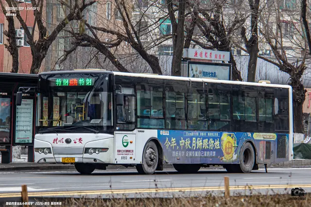 辽D 42599