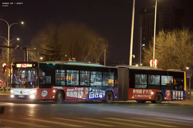 800BUS