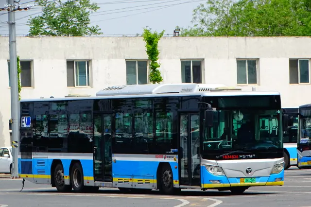 800BUS