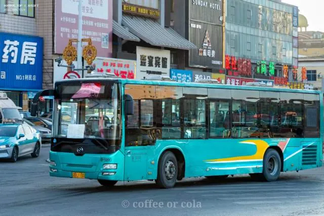辽B·L1100