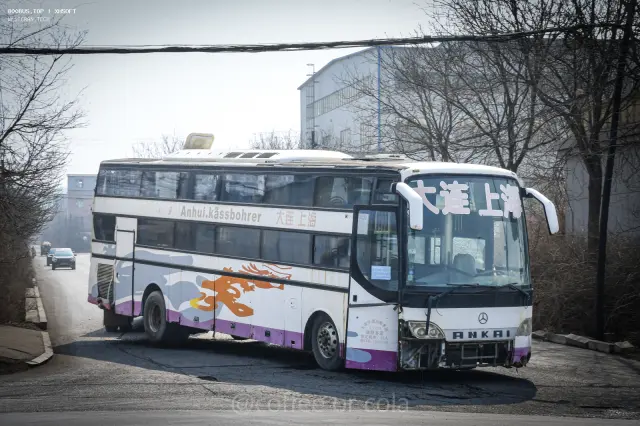 辽B·09595