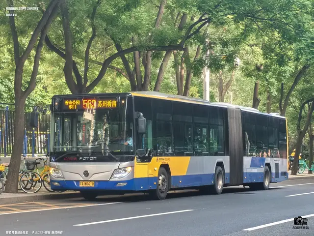 京A W0618