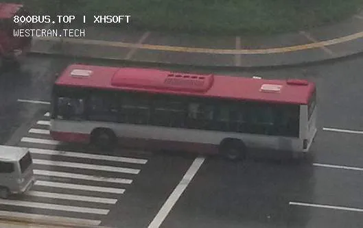 800BUS
