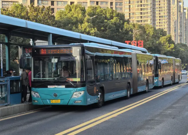 苏D.15391
