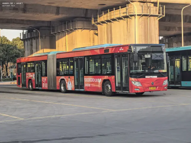 苏D.19359