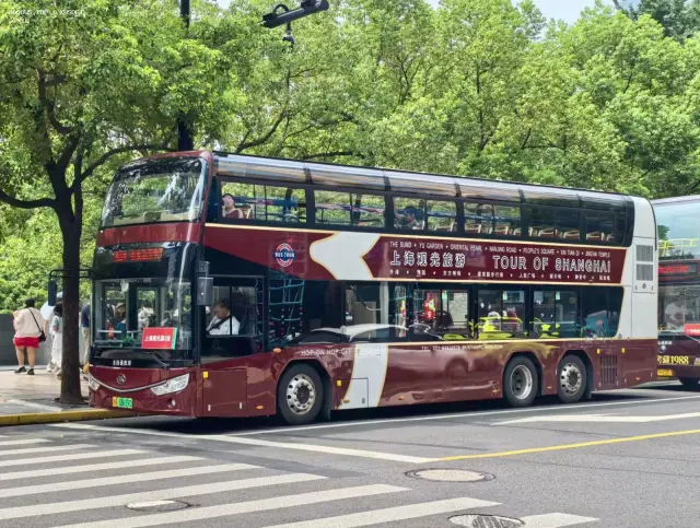 沪A.65659D