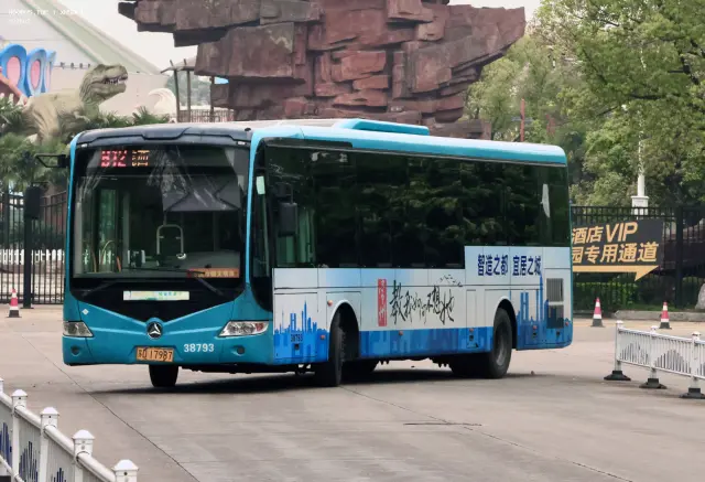 苏D.17987