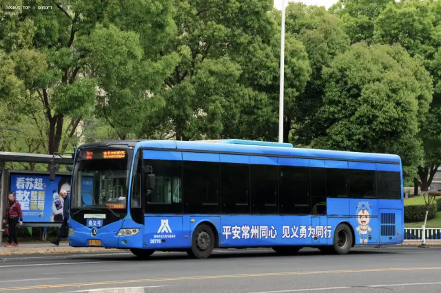 800BUS